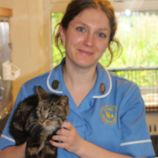 Anwell Vets